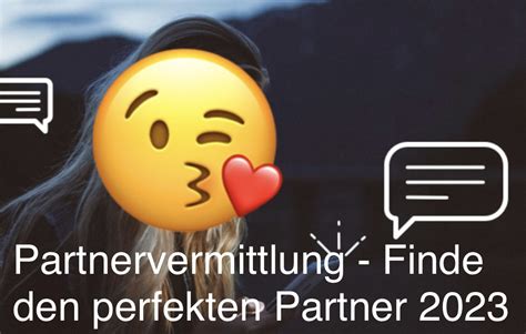 gezielte vermittlung passender partner